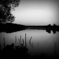 /album/different-music-styles/photolia-b01-jpg/